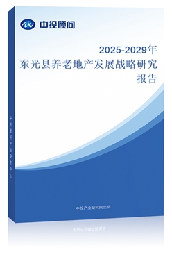 2025-2029|hB(yng)ϵخa(chn)l(f)չ(zhn)о(bo)