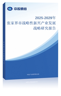 2025-2029ꏈҽБ(zhn)da(chn)I(y)l(f)չ(zhn)о(bo)
