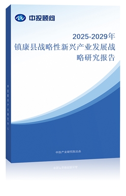 2025-2029(zhn)h(zhn)da(chn)I(y)l(f)չ(zhn)о(bo)